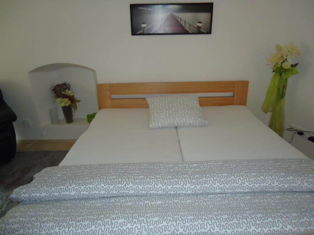 Apartment Pod Kotnovem Tábor Δωμάτιο φωτογραφία